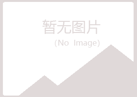 鹤岗兴山旅途金融有限公司